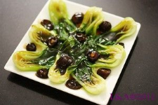 Cải chíp sốt nâm